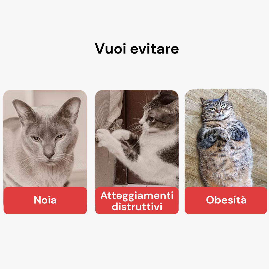 PLAYBALL™ - Pallina interattiva automatica