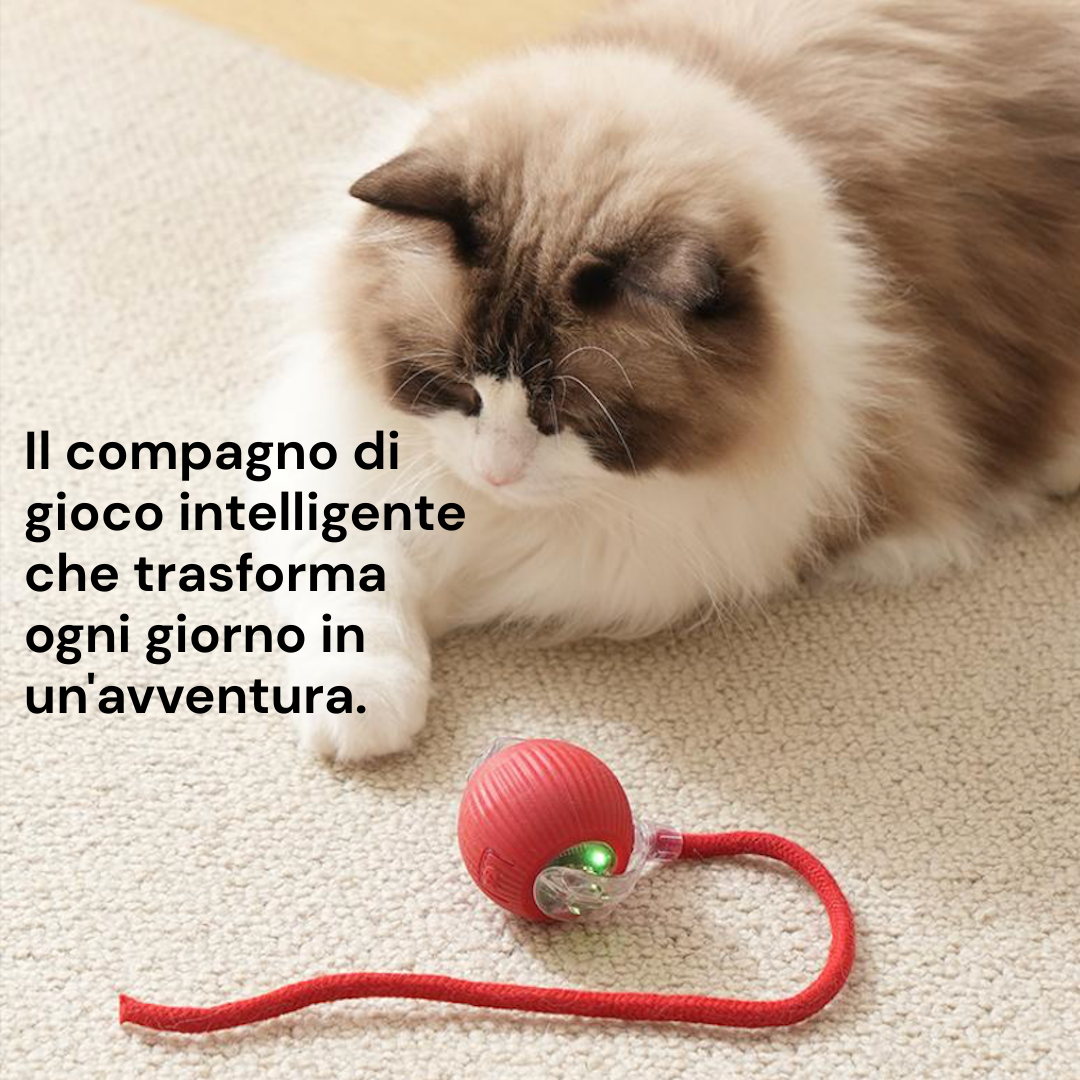 PLAYBALL™ - Pallina interattiva automatica