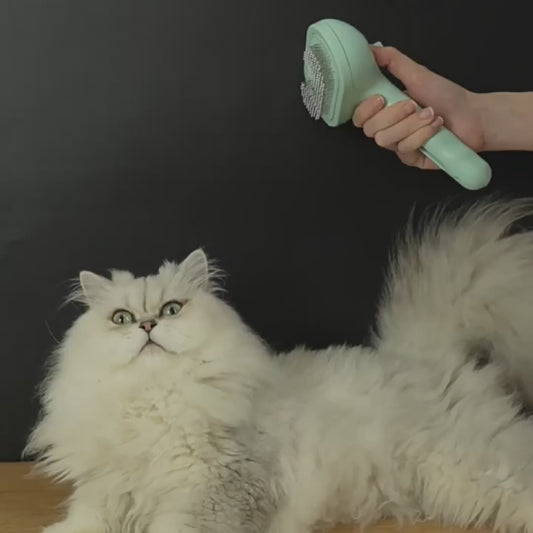 PeloSense™ - L’unica spazzola con vapore: accendi un nuovo livello di toelettatura