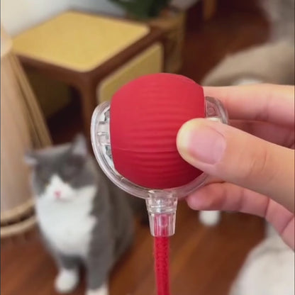 PLAYBALL™ - Pallina interattiva automatica